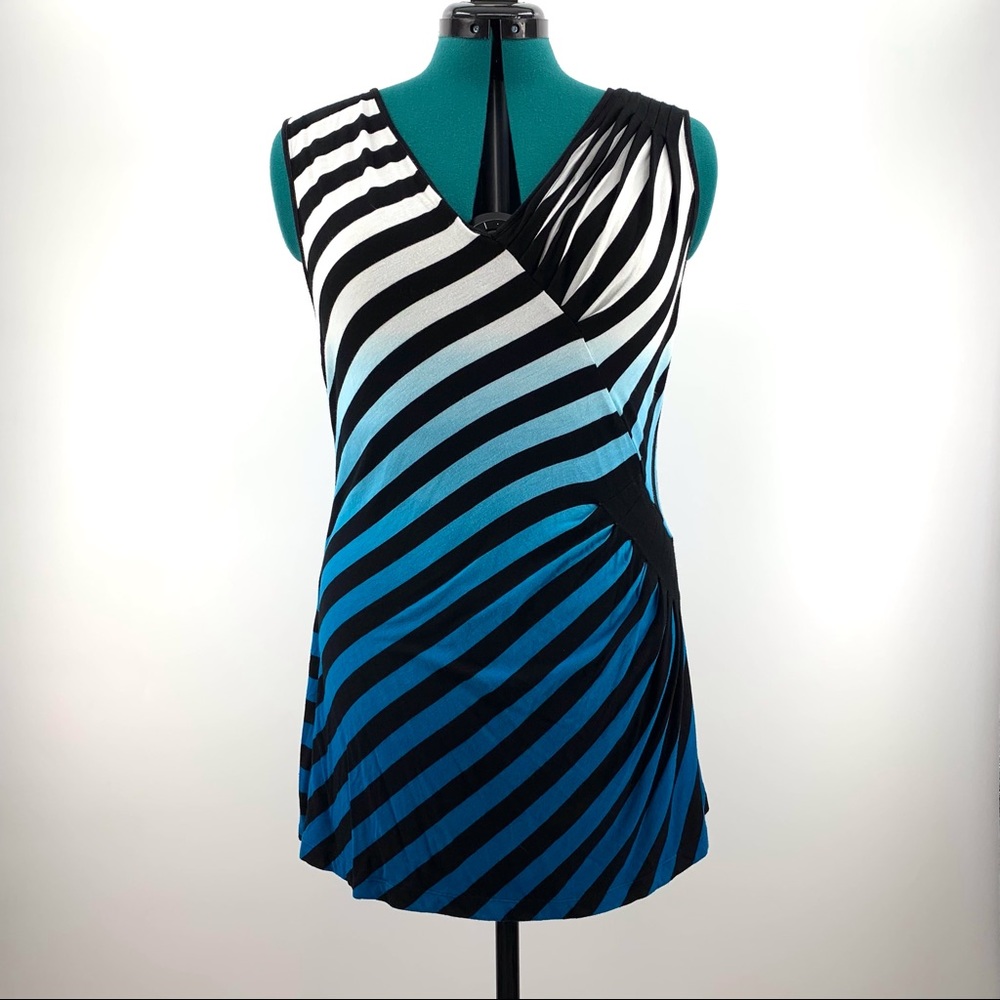Point Zero Nicole Benisti Striped Ombre Sleeveless Top with Ruching, Large
